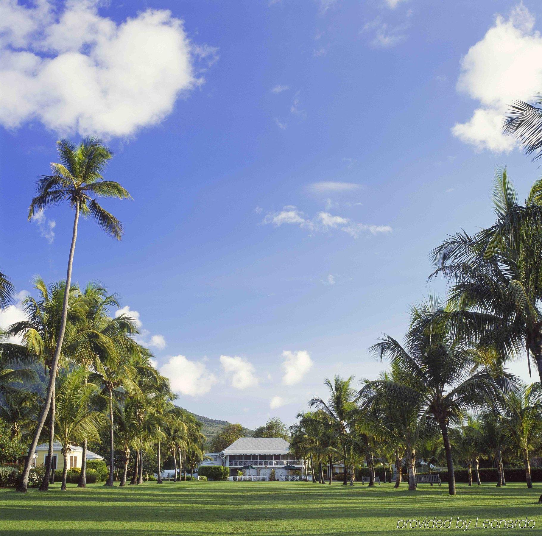 Nisbet Plantation Beach Club Newcastle Ngoại thất bức ảnh