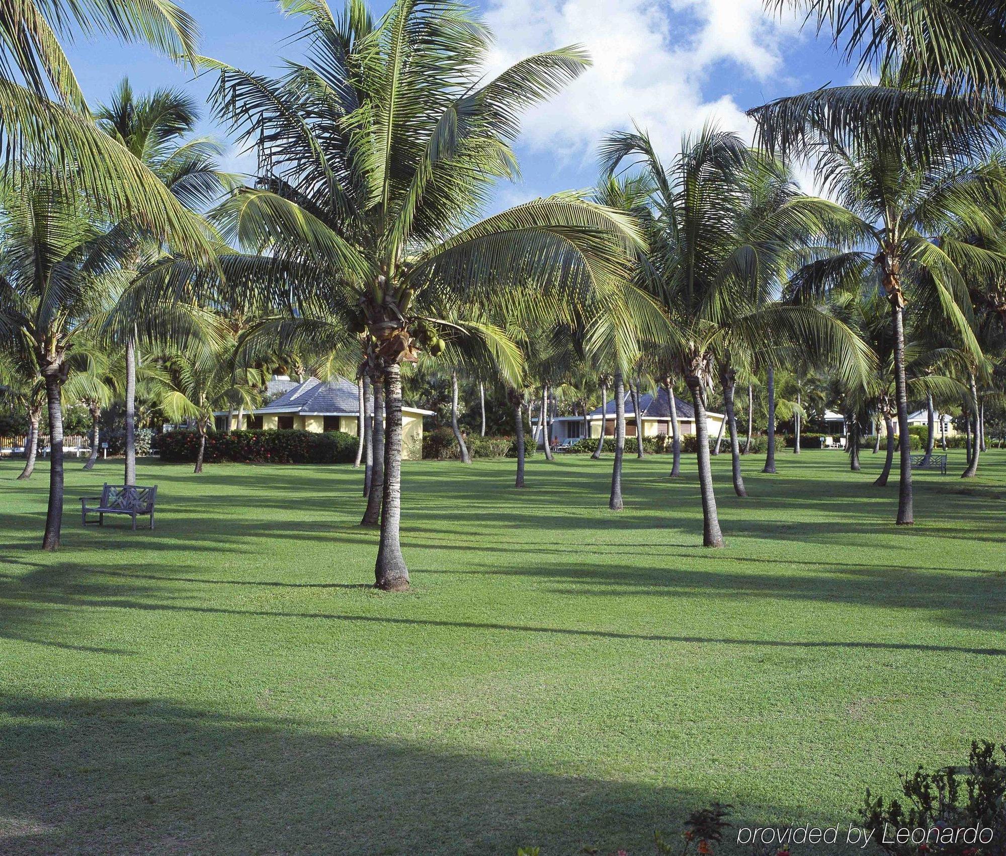Nisbet Plantation Beach Club Newcastle Ngoại thất bức ảnh