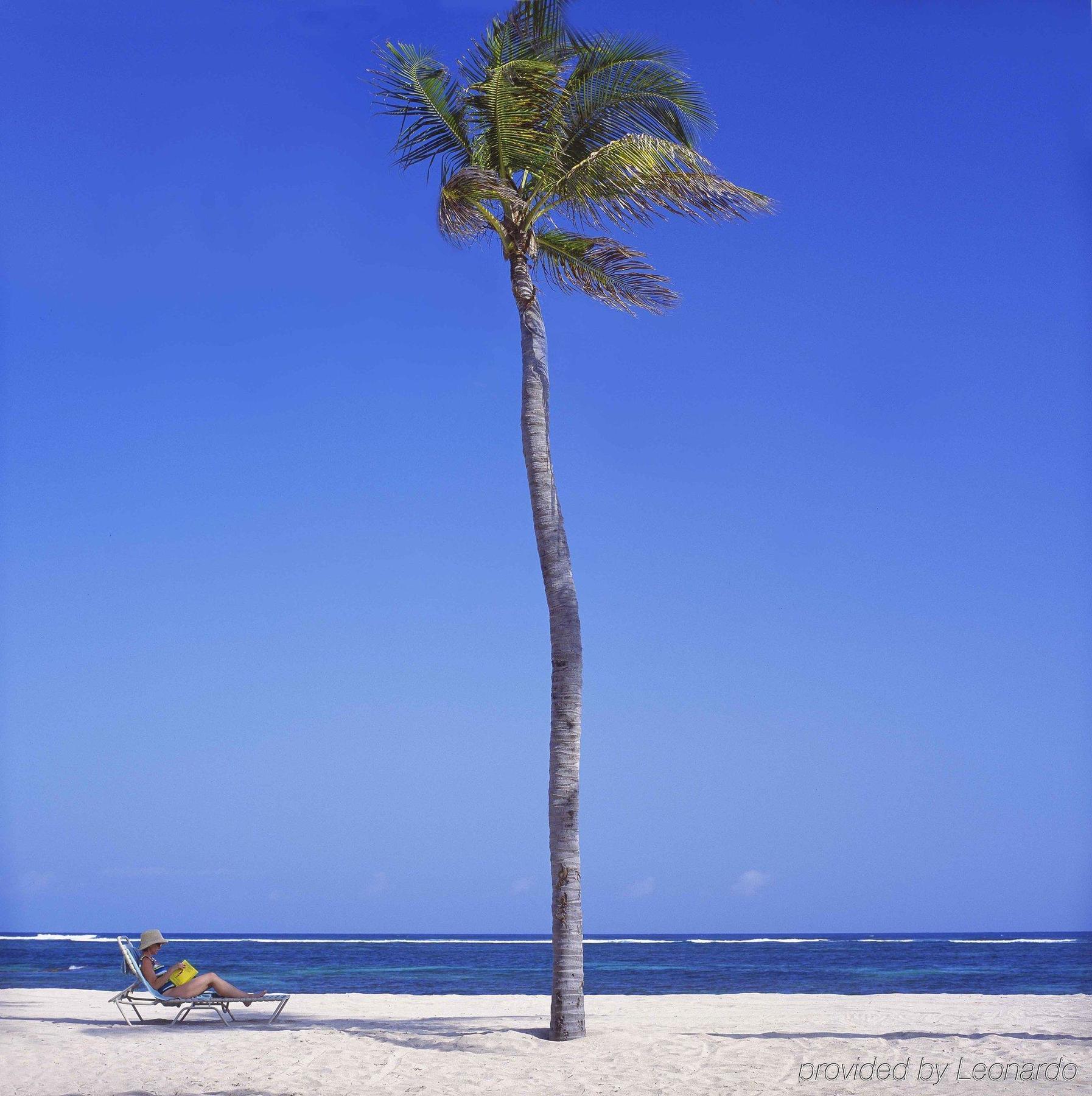 Nisbet Plantation Beach Club Newcastle Ngoại thất bức ảnh