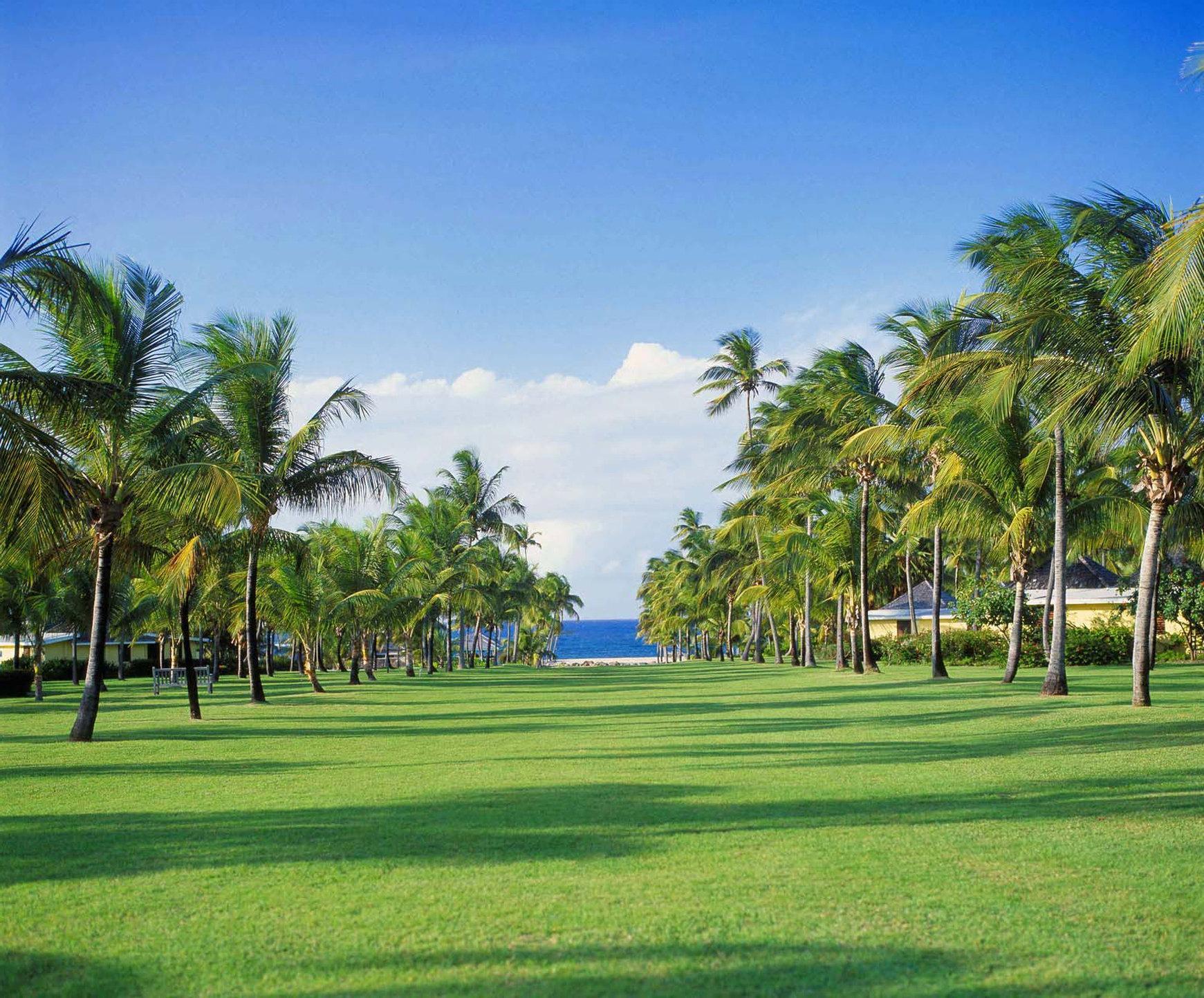 Nisbet Plantation Beach Club Newcastle Ngoại thất bức ảnh