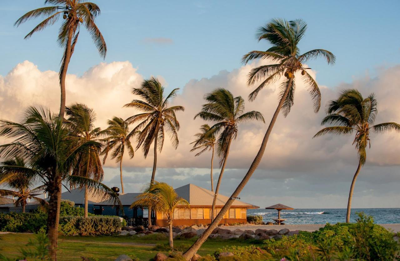 Nisbet Plantation Beach Club Newcastle Ngoại thất bức ảnh